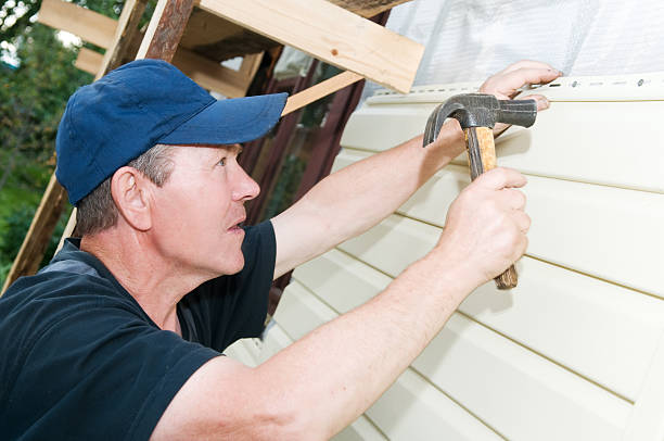 Best Fiber Cement Siding Installation  in Lebanon, KY